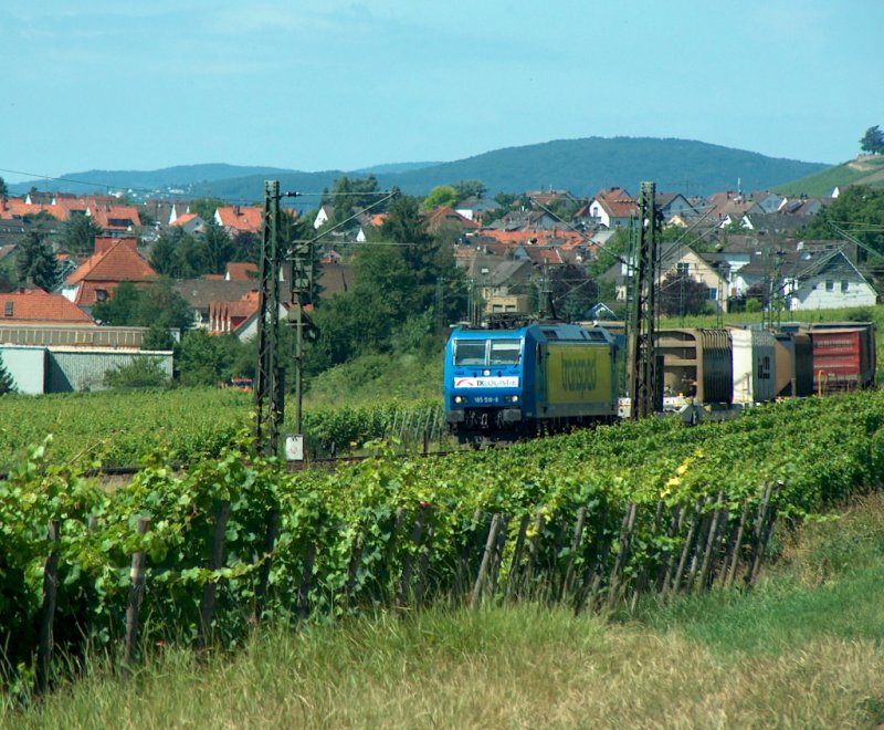TX Logistik 185 518-8  transped  mit dem FIR 51365 von Gremberg nach Nrnberg Rbf, bei Hattenheim; 26.06.2008