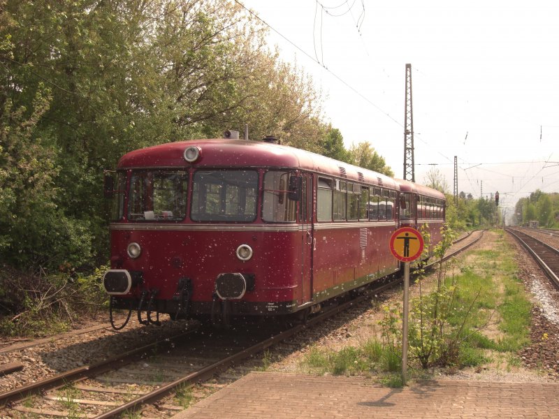 berraschungsgast in Prien am Chiemsee. Ziel der Sonderfahrt
der Passauer Eisenbahnfreunde mit dem Schienenbus 798 776-1
war am 1. Mai 2009 die Chiemseegemeinde. Die weien Flecken
auf dem Bild lieen sich leider nicht vermeiden. An der Stelle
stand eine Weide in voller Blte und der Wind blies den Blten
staub genau in diese Richtung.