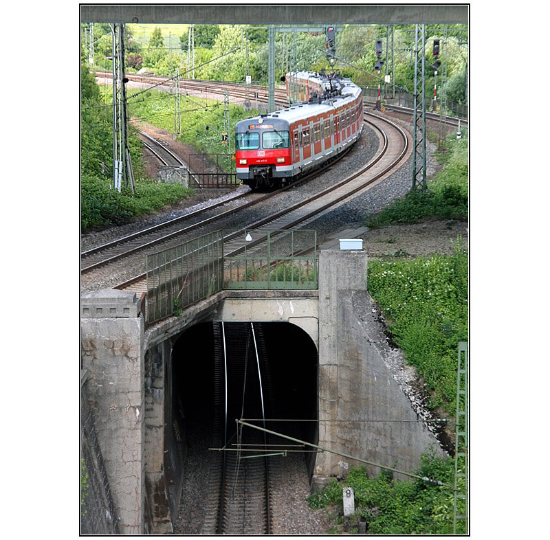 Überwerfungsbauwerk -

Eine Bahn der Linie S5 auf zwischen Kornwestheim und Stuttgart-Zuffenhausen. 

Die S-Bahngleise gehen hier von der Mittellage zwischen den Fern- und Regionalbahngleise (Richtungsbetrieb)auf eine westliche Seitenlage über (Linienbetrieb). Das in Richtung Stuttgart führende Fern- und Regionalbahngleis unterfährt dazu die S-Bahngleise. Ich habe das Bild nochmals partiell nachgeschärft nach der Kritik von Markus. 

11.06.2009 (M)