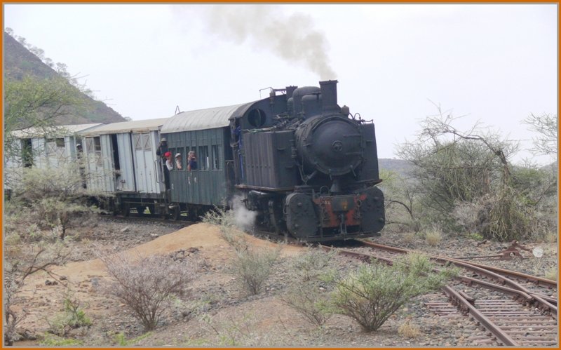 Und ein paar Sekunden nach den Kamelen kommt 442.55 um die Kurve. (30.10.2008)