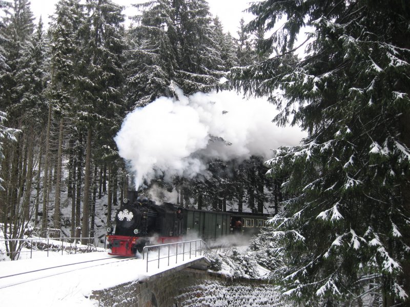 Und Kurz danach folte der  Kristallexpress , der Ig-HSB von Nordhausen mit der Zuglock 99 6101, einem Packwagen, 2 Personen und dem Salonwagen, 2.2.2008