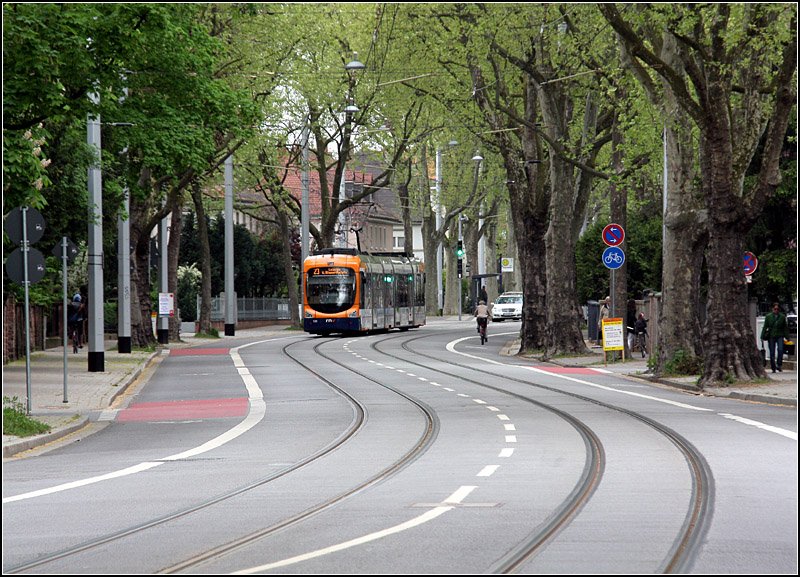 Unter Bäumen - 

Straßenbahnstrecke in der Handschuhsheimer Landstraße nördlich der Haltestelle Kußmaulstraße. 

23.04.2009 (M)