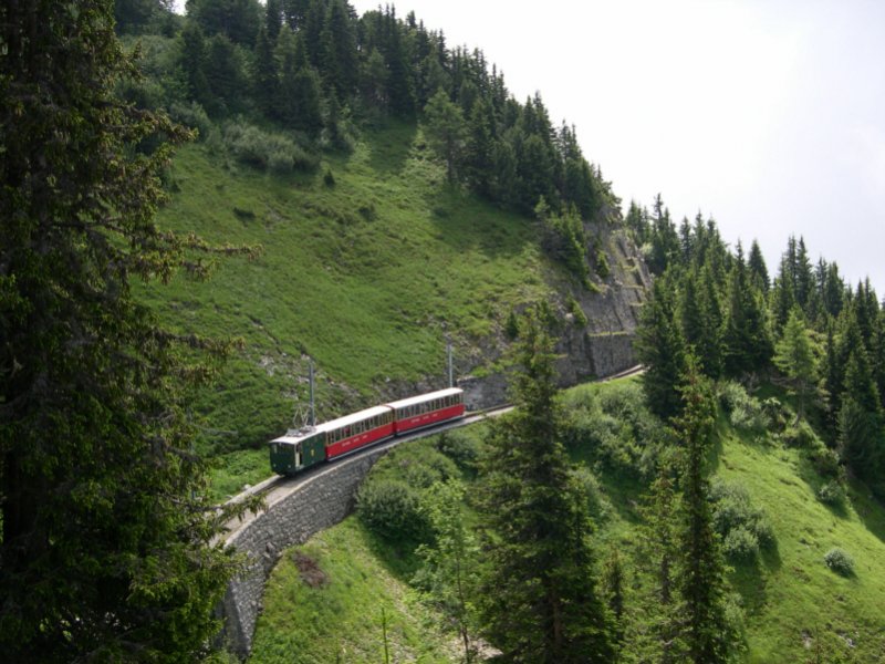 Unterhalb Schynige Platte Kulm macht sich dieser Zug, genauso wie wir, an den Abstieg nach Wilderswil. Die Wanderung ab Schynige Platte Kulm nach Wilderswil ist zwar anstrengend, aber die zahlreichen Fotostandpunkte entschdigen! Schynige Platte, 13.07.2005