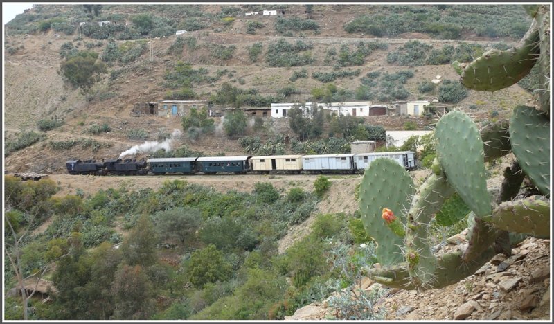Unterhalb von Shegerini windet sich der GmP durch die Kakteenwlder Richtung Arbaroba. (01.11.2008)