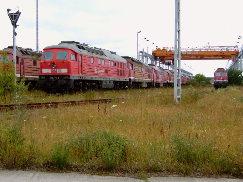 Unz�hlige Ludmillas warten im F�hrhafen Mukran/R�gen) auf bessere Zeiten