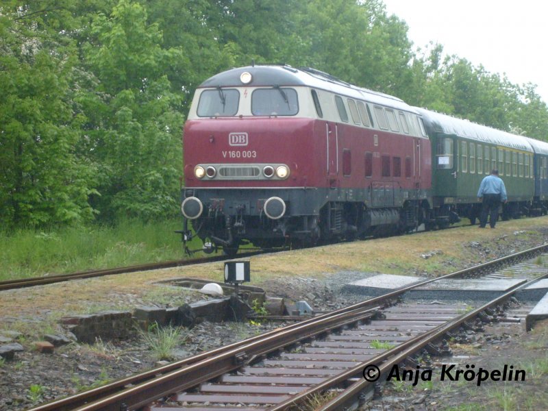 V 160 003 in Zarrentin zum Bahnhofsfest 