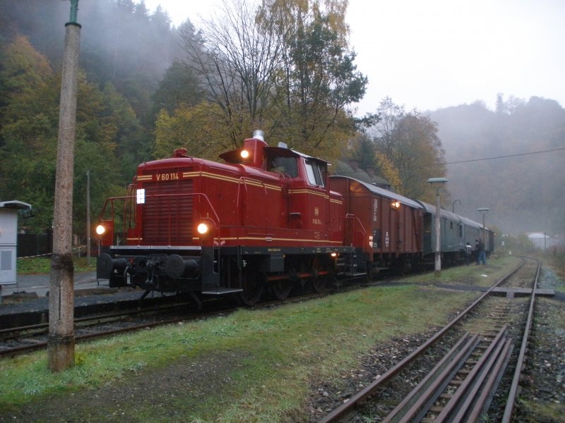 V 60 114 in Beringersmhle am 25.10.09 bei der letztenfahrt im Fahrplanjahr der DFS 