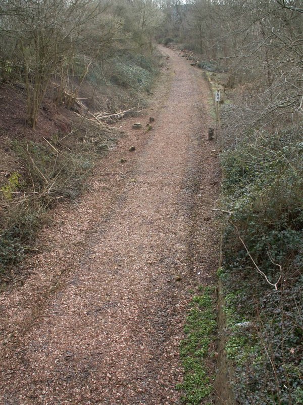 Verbindungskurve Schwarzenacker-Ein�d; (12/89 abgebaut) mit Blick Richtung Ein�d/Zweibr�cken, auf der in den letzten Wochen umfangreiche Freischndeidearbeiten stattfanden, wie auf der weiteren Strecke Schwarzenacker-Homburg/Saar.
