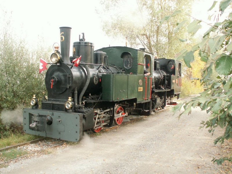 Verein Rhein-Schauen.Umsetzen der beiden IRR Dampfloks(leider bei Nebel)auf dem Rheindamm am Bodensee.12.10.08