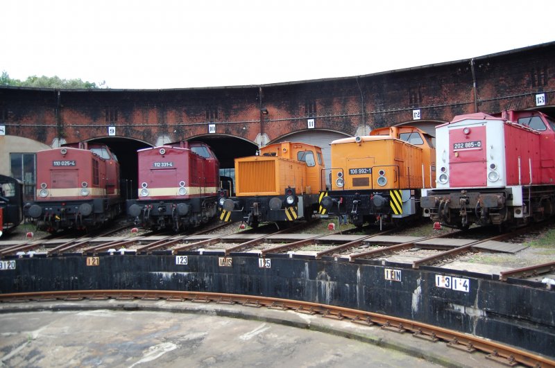 v.l. Br 110 025-4, 112 331-4, Rangierlok, 106 992-1 und 202 885-0 standen beim 19. Heizhausfest am 22.08.09 im Bw Chemnitz.