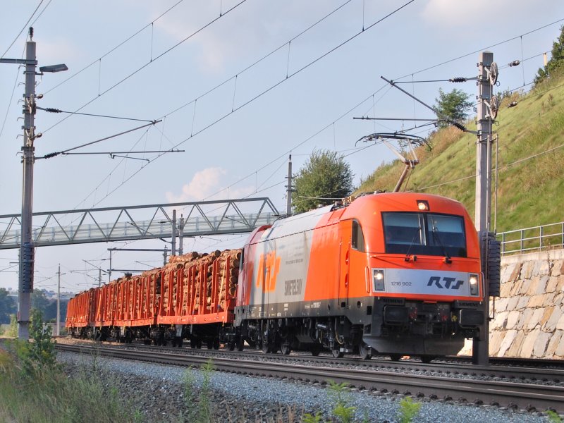 Vllig berraschend fr mich ist die Rts-Lok 1216 902
mit einem Holzganzzug am 13.08.2007 in Wartberg/Kr.
durchgefahren.So blieb nur noch dieser Schnellschuss.
