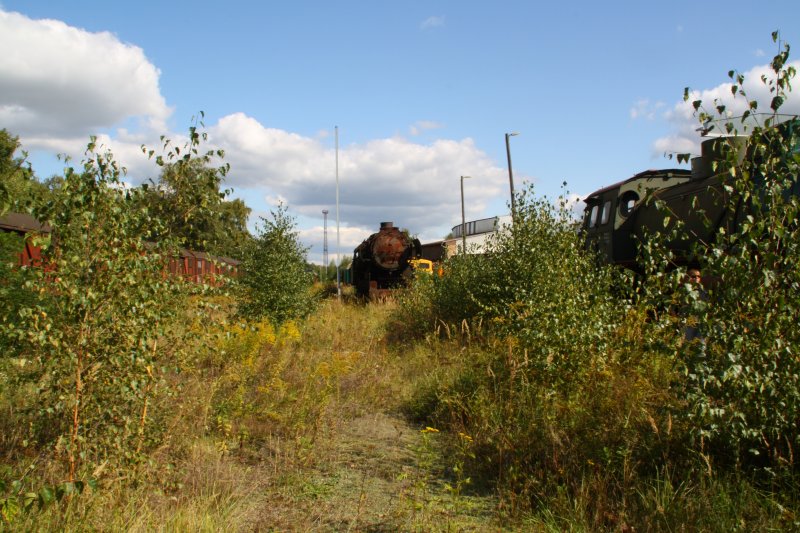 Vllig zugewachsen sind die Gleisanlagen neben der Wagenhalle im ehemaligen BW Falkenberg oberer Bahnhof.Zur Zeit ist die Anlage nur an wenigen Wochenenden im Jahr zugnglich, hier soll aber in naher Zukunft ein Eisenbahnmuseum entstehen. (12.09.09)