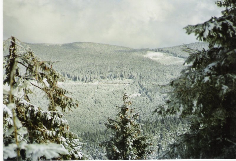 Vom Wurmberg aus, kann man dr�ben am Eckerloch den Brockenzug Richtung Schierke rollen sehen.
4.4.2007
