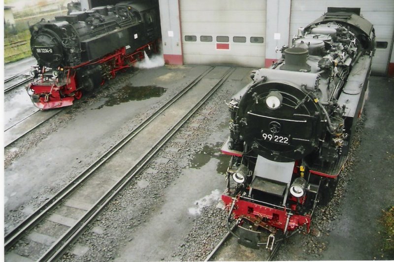 Von der Aussichtsplattform aus habe ich hier die 99 222 und 99 7234 im Oktober 2005 Fotografiert.