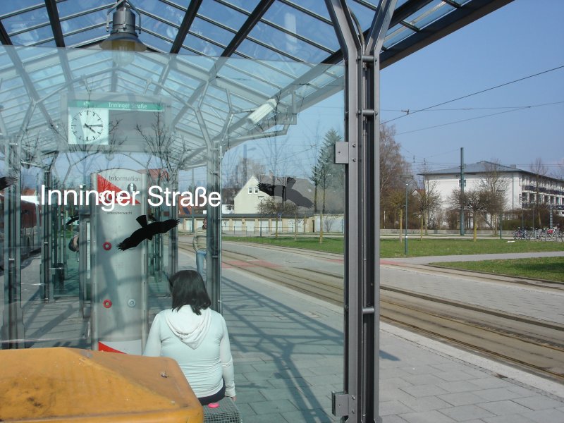 Von Bahnen befreit die INNINGER STRA�E
Durch des Fr�hlings holden, belebenden Blck;
Gr�nt in HAUNSTETTEN Hoffnungsgl�ck?
Die Aufnahme zeigt den Stra�enbahnhof und Umsteigepunkt INNINGER STRA�E am Nachmittag des 6.4.2009. Diesmal ist kein Streik f�r das Ausbleiben des Stra�enbahnverkehrs verantwortlich, sondern Gleisbauarbeiten, die neben der die INNINGER STRA�E bedienenden Linie 3, auch die ehemalige Linie 4 (heute  2 ) in Richtung HAUNSTETTEN betreffen. So bleiben die Gleisbetten verwaist und die Fahrg�ste sind auf die entsprechenden Ersatzbuslinien angewiesen. Wohl auch dank der fr�hsommerlichen Temperaturen, die der INNINGER STRA�E so den Flair eines mediterranen Busbahnhofs verleihen, st�rt sich die Bev�lkerung aber scheints nicht weiter an diesen Umst�nden... wegs mir br�uchts hier raus nach Haunstetta eh koine Strassabo...kommt eh blo� alle Stund amol a GT4, und die andern kosch vergessa! , sagte mir ein Herr in den besten Jahren...Mal sehen, wann wieder alles seinen richtigen Gang geht in Haunstetten..