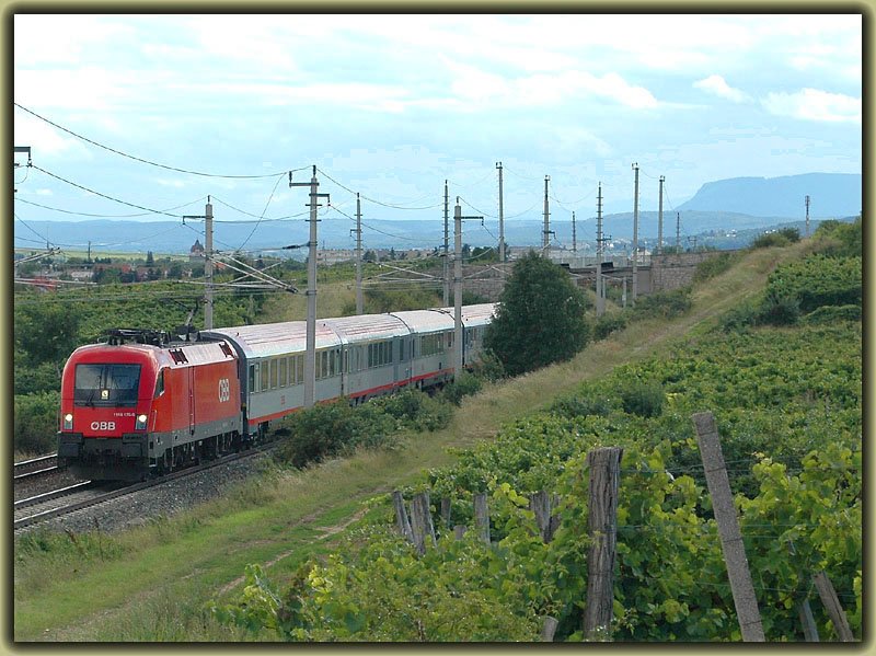 Von Dienstag bis Samstag schon sehr oft mit einer 1X16 und einer 1142 bespannt. Vielleicht wegen dem Feiertag am 15.8.2006 nur mit 1116 175 - OEC 556 „�sterreichisches Umweltzeichen“ von Graz nach Wien, aufgenommen kurz nach Pfaffst�tten