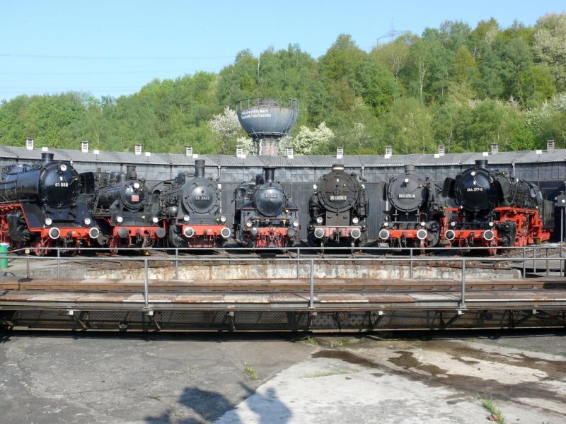 von links nach rechts 01 008,146BLE,55 3345,97 502,95 0028-1,053 075-8 und 044 377-0 vor dem Lokschuppen in Bochum-Dahlhausen am 19.4.2009