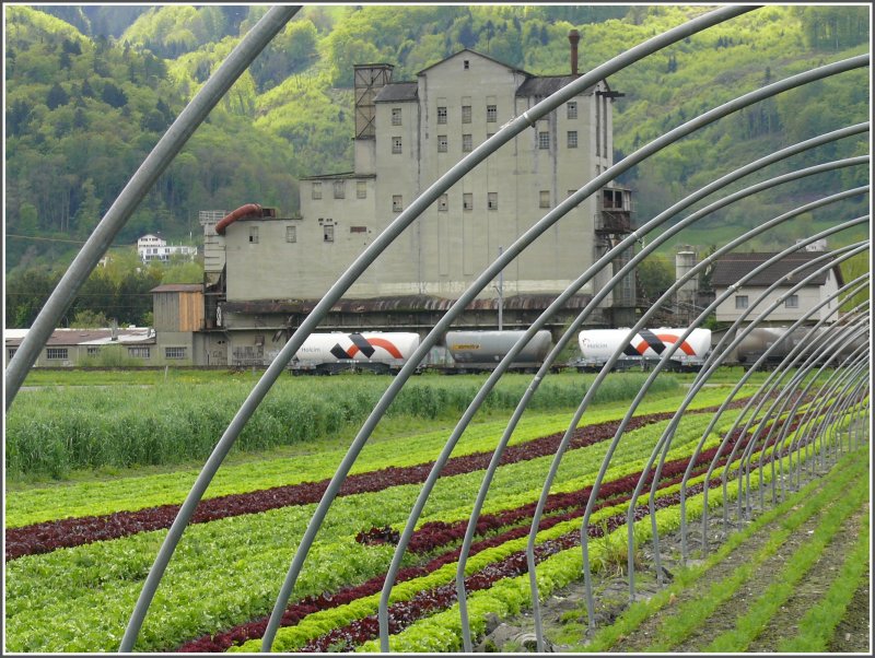 Vor dem alten Basaltwerk in Buchs SG warten Zementsilowagen der Holcim auf den Weitertransport. (02.05.2008)