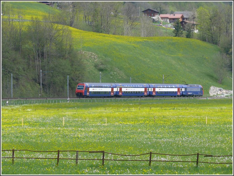 Vor Leuggelbach  nhert sich der S-Bahn Dosto 450 077-3. (04.05.2008)