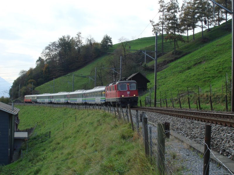 Voralpen-Express bei Kssnacht am Rigi mit Re 4/4 II.