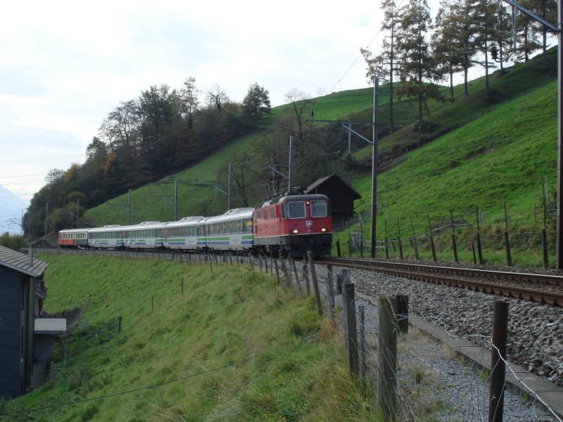 Voralpen-Express bei Kssnacht am Rigi mit Re 4/4 II.