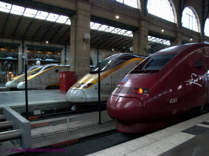 Vorn der TGV-PBKA 4341 als Thalys nach Kln.
Hinter der Trennscheibe die drei TGV-TMST 3021+3206+3105 Eurostar fr den Verkehr nach Grossbritannien.

Paris Gare du Nord
23.06.2007