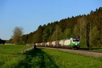 Am 08. Mai 2016 hatte sich die Laune des Bauern in Fellach wieder gebessert und er gestatte das Betreten seines Grundes. So konnte ich doch noch ein Wunschbild am Ende der Umleitungsaktion über das Mangfalltal realisieren. Im schönsten Abendlicht passierte die 193 814 von SETG mit ihrem DSG 47890 von Jesenice nach Schwerte meinen Standpunkt. Für den Weg von Rosenheim nach Holzkirchen benötigte der Zug aufgrund diverser Kreuzungsaufenthalte übrigens fast zwei Stunden.
