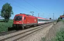 1216 021  bei Hilberting  19.05.12