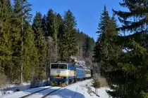 754 029 mit Os 7504 am 10.02.2017 bei Zelezna-Ruda. 