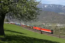 Wenn der Lack passt,schaut die 44er auch bei Seitenlicht gut aus,wie hier bei der ziemlich neuen 1144.267 vor 1116.124 am G-46771 bei der Apfelwiese am Eichberg. 21.4.17