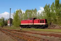 Die 110 101-3 der WFL zu Gast beim Frühlingsfest am 23.04.2017 im Bw Schönweide.
