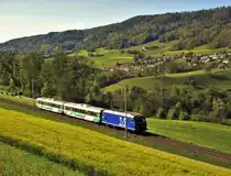 Eigentlich hätte ich um diese Zeit die S41 oder mindestens ein Güterzug erwartet, aber aus Zufall und purem Glück dass ich mich auch auf einer perfekten Fotostelle befand, zeigte sich ein Voralpen-Express auf der Bahnstrecke Bülach-Winterthur? Zwar scheint diese Komposition etwas kurz, sieht jedoch trotzdem wie ein Voralpen-Express aus; aber die Re 456 142-9 der M-Rail AG verrät, dass es sich um einen Extrazug aus zwei VAE-Waggons und einer Re 456 handelt. Die Re 456 142-9 der M-Rail AG (ex RM/BLS/SOB) 85 4456 111-4 CH-MFAG ist seit Dezember 2016 für die M-Rail AG im Einsatz. Seit Februar 2017 verkehrt sie auch in den offiziellen Farben der Müller Frauenfeld Gruppe. Das Foto entstand kurz vor Pfungen. Freitag, 5. Mai 2017