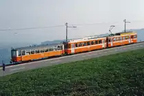 TB: Die BDe 4/8 21-25 prägten mit ihrem orangen Anstrich von 1975 bis 2004 das Bild der Trogenerbahn. Nach der Inbetriebnahme der Be 4/8 31-34 in den Jahren 2004/2008 wurden die BDe 4/8 21 und 24 an die Rittnerbahn im Südtirol, Italien verkauft, wo sie den veralteten Fahrzeugpark verjüngten. BDe 4/8 Pendel verstärkt mit einem Lausanner auf der Fahrt nach Trogen am Anfang der 80er Jahre. Auch mit den damals neuen BDe 4/8 wurden die Lausanner noch bis zur Inbetriebnahme der Be 4/8 eingesetzt.
Foto: Walter Ruetsch 