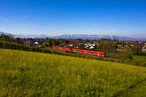2x Br 812 vor der malerischen Alpenkulisse von Vorarlberg und der Schweiz am 30.4.17.