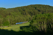 754 078 mit einem Os am 28.05.2017 bei Stezerov. 