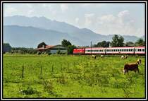 Eine 1116 f�hrt mit einem OEC von Wien Richtung Arlberg. Aufgenommen im Sommer 2005 bei Niederaudorf.