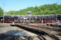 Im Halbkreis aufgestellt, die 082 008, 10 001, 55 3345, 66 002, 95 028, 97 502 und eine ELNA