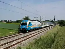 Die 183 004 mit einem ALEX nach München am 03.06.2017 unterwegs bei Ascholtshausen.