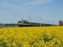 Melsheim, 24. April 2017 : BB 25657 mit dem TER 830120 Strassburg - Saverne.