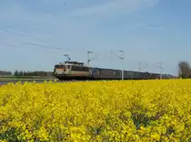 Melsheim, 24. April 2017 : BB 25657 mit dem TER 830120 Strassburg - Saverne.