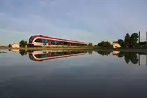 Zum Abschluss des Tages eine Wasserlache. 
8.06.2017 bei Schwanberg