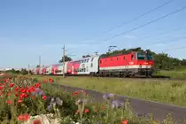 Wie die Frühlingsblumen leuchtet die schöne 1144.208 mit R-2253 auf der Neunkirchner-Allee bei Wr.Neustadt am 8.6.17