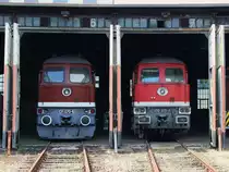Am 10.06.17 war wieder Tag der offenen Tür bei der Loksammlung Bernd Falz in Falkenberg/Elster. Hier die 131 070-5 und 232 375-6.