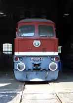 Am 10.06.17 war wieder Tag der offenen Tür bei der Loksammlung Bernd Falz in Falkenberg/Elster. Hier ist die 131 070-5 zu sehen.