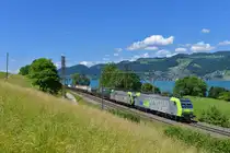 Re 485 009 + Re 486 503 mit einem KLV am 10.06.2017 bei Einigen. 
