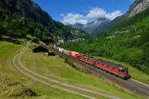 Eine Re 10/10 mit einem KLV am 16.06.2016 bei Gurtnellen. 