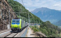 Re 485 005 und eine Re 486 fahren am 24. Juni 2017 mit einer RoLa bei Lalden die Lötschberg-Südrampe hinauf.