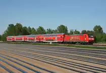 146 110 mit RE 5345 (Offenburg–Basel Bad Bf) am 23.04.2017 zwischen Kenzingen und Riegel-Malterdingen