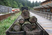 In der Chaoping Station ist gemeinsam mit der AFR SL24 der AFR Plachwagen 6125 als techn. Denkmal aufgestellt. Bild von 05.Juni 2017.