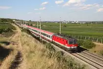 Einer der wenigen Lokbespannten Schnellzüge auf der Südbahn,der D-459 fährt mit der schönen 1144.265 durch die Weinberge bei Pfaffstätten am 5.7.17